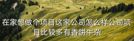 在家想做個(gè)項(xiàng)目這家公司怎么樣公司項(xiàng)目比較多有香餅牛雜