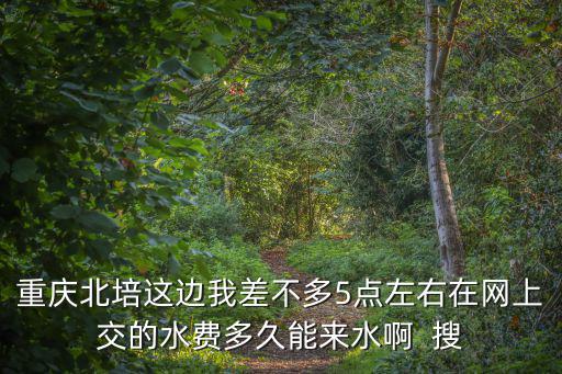 重慶北培這邊我差不多5點左右在網上交的水費多久能來水啊  搜