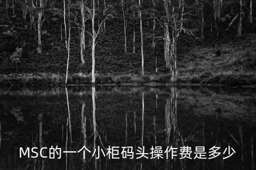 MSC的一個小柜碼頭操作費是多少