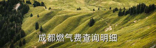 成都市天然氣交費查詢，成都如何查詢天燃氣使用費用