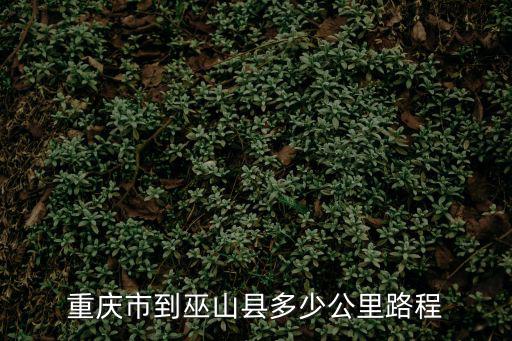重慶市巫山縣人民醫院是多少公里，請問從重慶市區到巫山縣有多遠謝謝誒