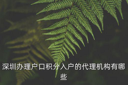 深圳海天大廈 代辦深圳戶口，深圳辦理戶口積分入戶的代理機構有哪些