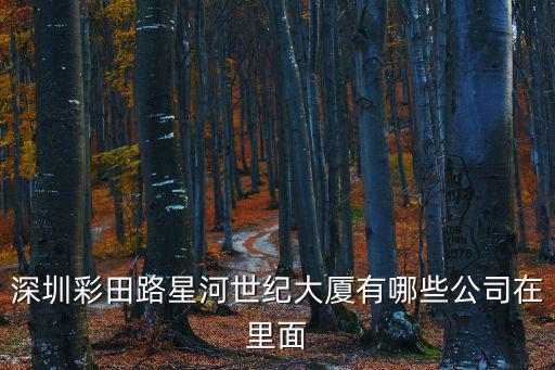 深圳彩田路星河世紀(jì)大廈有哪些公司在里面