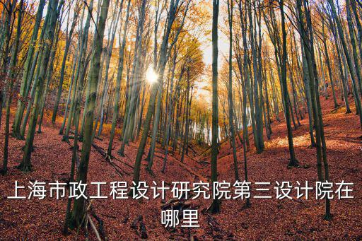上海市政工程設(shè)計(jì)研究院第三設(shè)計(jì)院在哪里