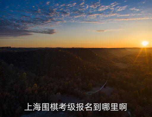 上海圍棋考級報名到哪里啊