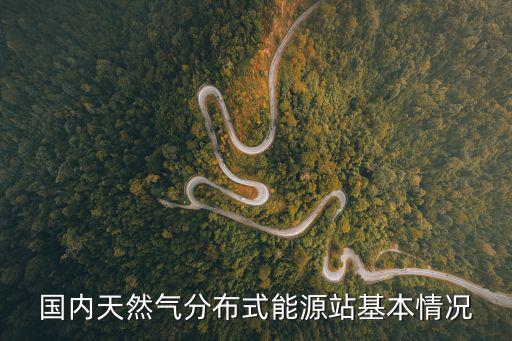 國內(nèi)天然氣分布式能源站基本情況