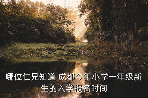 哪位仁兄知道 成都今年小學(xué)一年級(jí)新生的入學(xué)報(bào)名時(shí)間