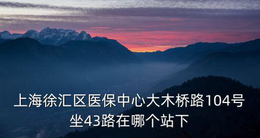 上海徐匯區(qū)醫(yī)保中心大木橋路104號坐43路在哪個站下