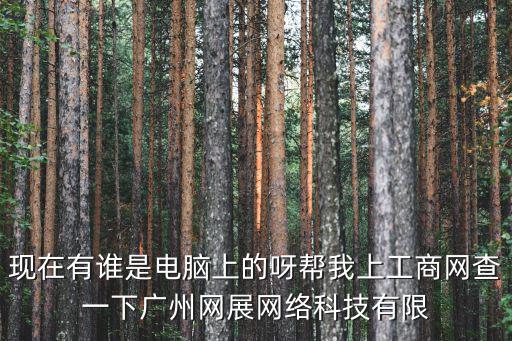 現在有誰是電腦上的呀幫我上工商網查一下廣州網展網絡科技有限