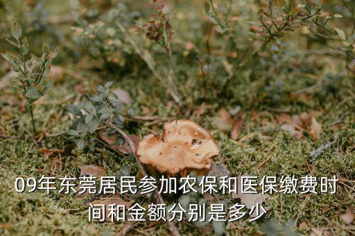 09年?yáng)|莞居民參加農(nóng)保和醫(yī)保繳費(fèi)時(shí)間和金額分別是多少