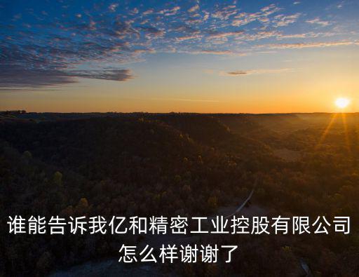 誰能告訴我億和精密工業控股有限公司怎么樣謝謝了