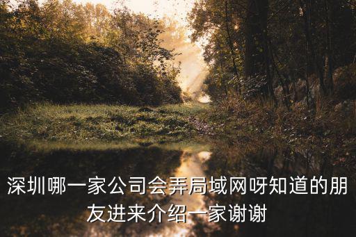 深圳哪一家公司會弄局域網呀知道的朋友進來介紹一家謝謝