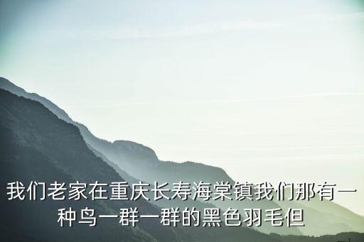 我們老家在重慶長壽海棠鎮我們那有一種鳥一群一群的黑色羽毛但