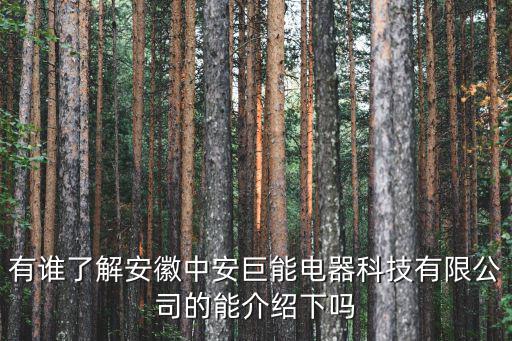 有誰了解安徽中安巨能電器科技有限公司的能介紹下嗎