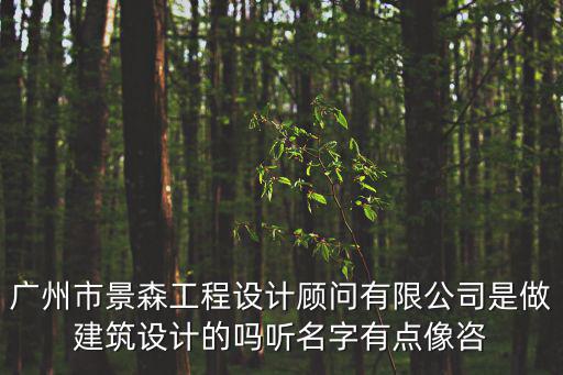 廣州市景森工程設(shè)計(jì)顧問有限公司是做建筑設(shè)計(jì)的嗎聽名字有點(diǎn)像咨