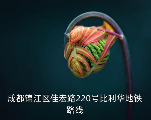 成都市錦江區 林紅，成都錦江區佳宏路220號比利華地鐵路線