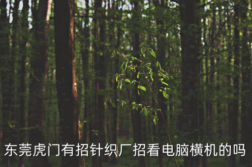 東莞虎門有招針織廠招看電腦橫機(jī)的嗎