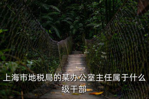 上海市稅務(wù)干部，上海稅務(wù)有關(guān)系做什么