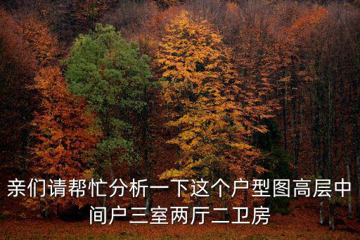 親們請幫忙分析一下這個戶型圖高層中間戶三室兩廳二衛房