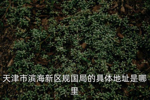 天津市西青區文廣局wangzhan，縣文廣局和鄉長那個權大