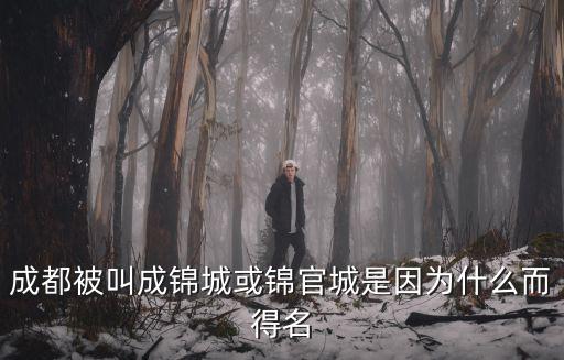 成都市文物局約談，古時的成都為什么又叫錦城或錦官城