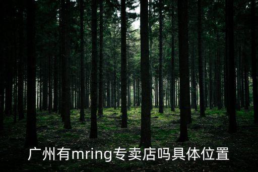 廣州高豪貿(mào)易有限公司，廣州有mring專賣店嗎具體位置