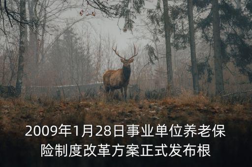 重慶市事業單位養老保險改革實施辦法，重慶市養老保險政策