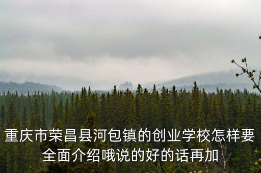 重慶市榮昌縣河包鎮的創業學校怎樣要全面介紹哦說的好的話再加
