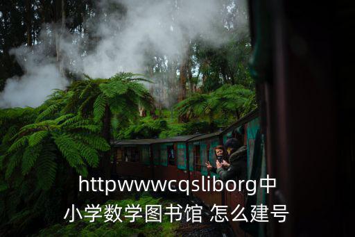 httpwwwcqsliborg中小學數學圖書館 怎么建號