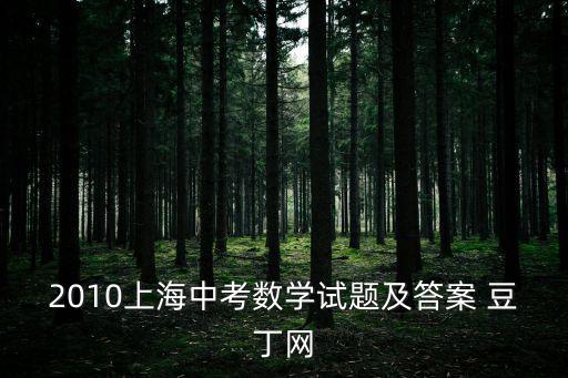 2010上海中考數(shù)學(xué)試題及答案 豆丁網(wǎng)