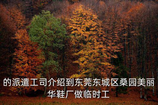 東莞美麗華鞋廠底薪，東莞的美麗華鞋廠怎樣