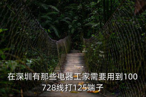 深圳端子線，接線端子是屬什么產品