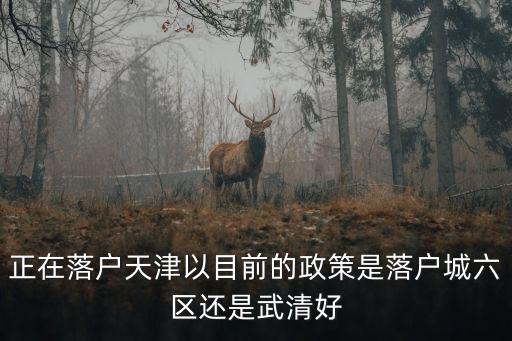天津市市內六區戶口，天津市市內六區指哪六區