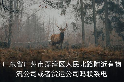 廣州市海晟物流，廣東省廣州市荔灣區人民北路附近有物流公司或者貨運公司嗎聯系電