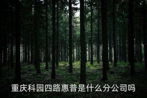 重慶科園四路惠普是什么分公司嗎