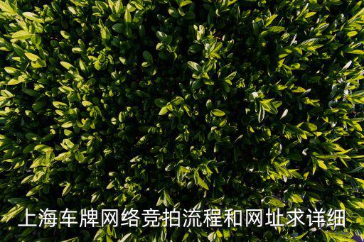上海車牌網(wǎng)絡(luò)競拍流程和網(wǎng)址求詳細(xì)