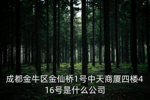 成都金牛區(qū)金仙橋1號(hào)中天商廈四樓416號(hào)是什么公司