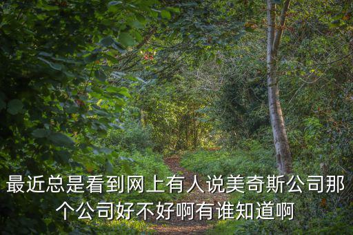 最近總是看到網上有人說美奇斯公司那個公司好不好啊有誰知道啊