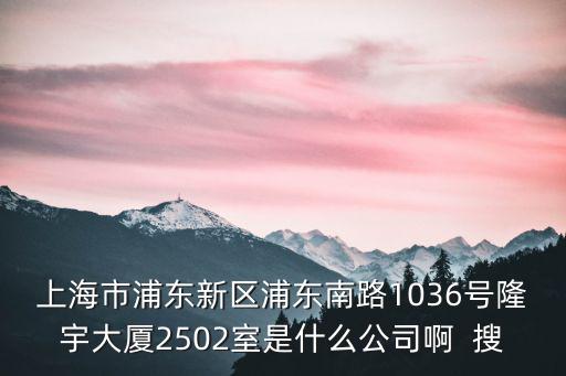 上海市浦東新區浦東南路1036號隆宇大廈2502室是什么公司啊  搜