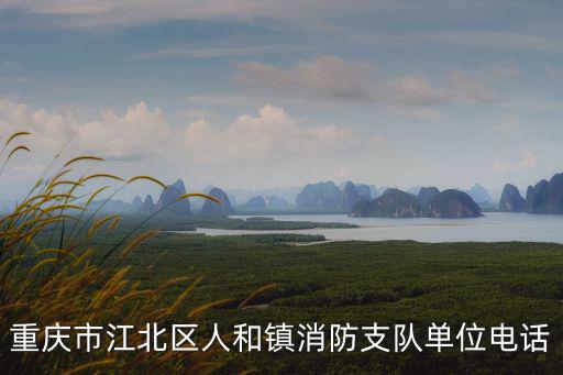 重慶市江北區人和鎮消防支隊單位電話
