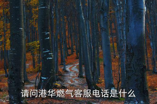 請問港華燃氣客服電話是什么