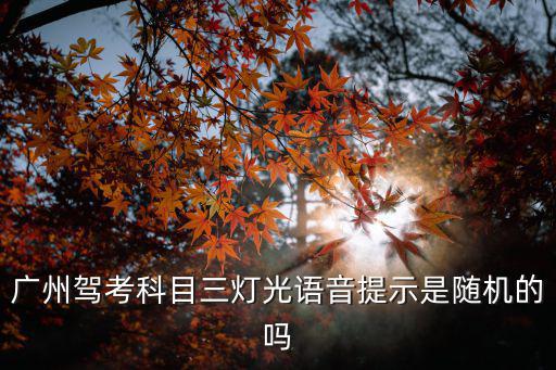 廣州駕考科目三燈光語音提示是隨機的嗎