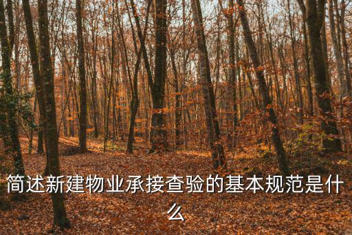 重慶市新接物業查驗標準，物業承接查驗辦法的介紹