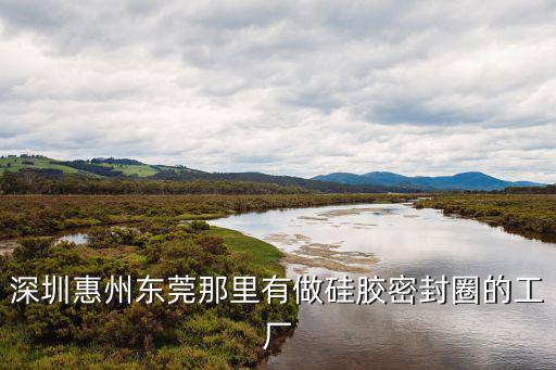 深圳惠州東莞那里有做硅膠密封圈的工廠
