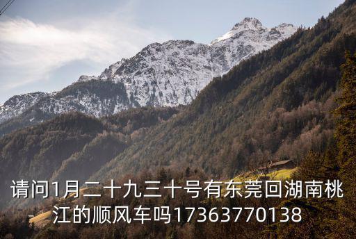 請問1月二十九三十號有東莞回湖南桃江的順風車嗎17363770138