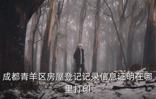 成都青羊區房屋登記記錄信息證明在哪里打印