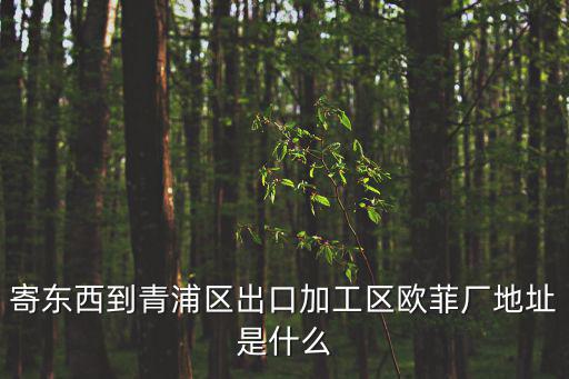 寄東西到青浦區出口加工區歐菲廠地址是什么
