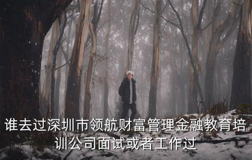 深圳市領(lǐng)航，你好你們那邊有需要珠寶管理系統(tǒng)嗎