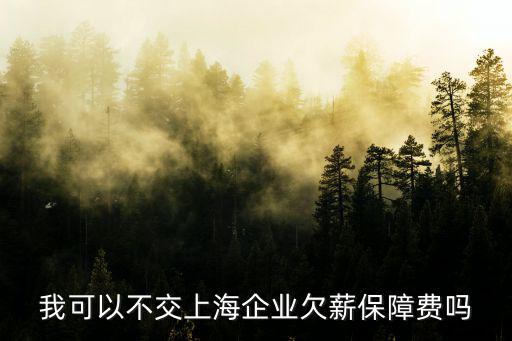 我可以不交上海企業(yè)欠薪保障費嗎