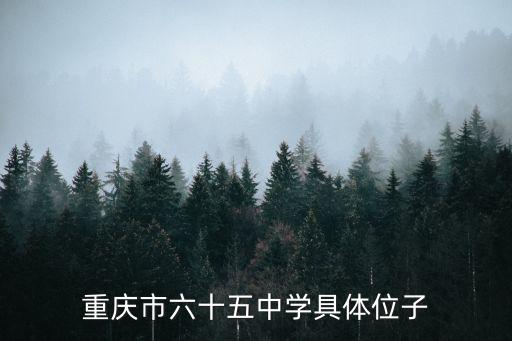 重慶市六十五中學具體位子